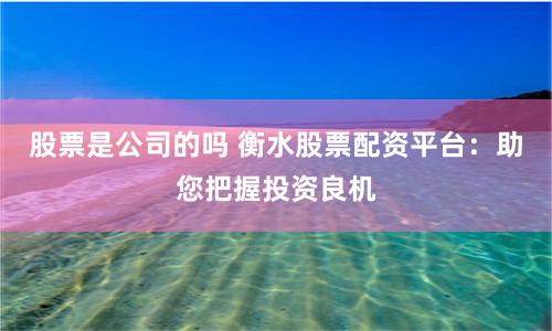 股票是公司的吗 衡水股票配资平台：助您把握投资良机