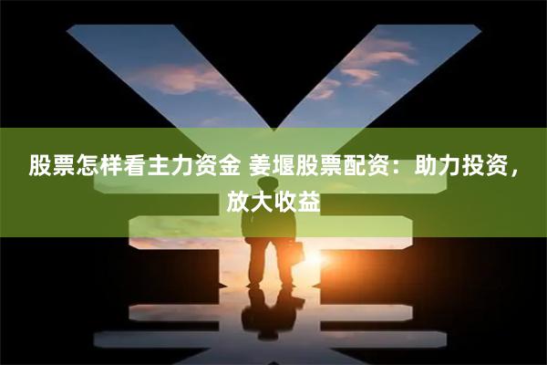 股票怎样看主力资金 姜堰股票配资：助力投资，放大收益