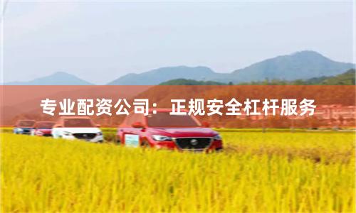 专业配资公司：正规安全杠杆服务