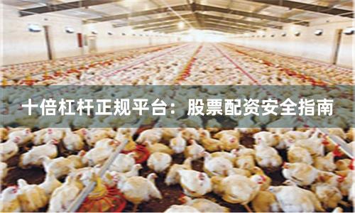 十倍杠杆正规平台：股票配资安全指南
